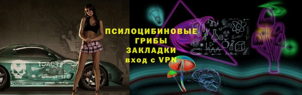 МДПВ Алексин