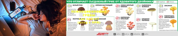 COCAINE Алзамай
