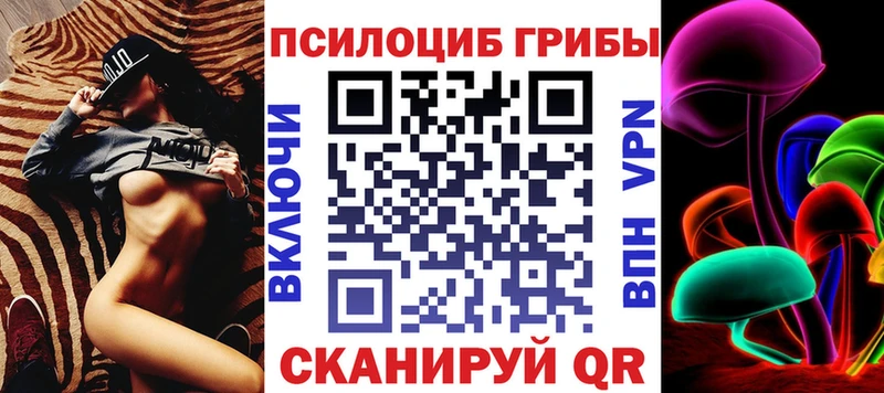 МЕГА как зайти  Новозыбков  Галлюциногенные грибы ЛСД  цена  